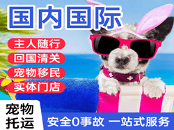 唐山航空快运国际宠物托运 【国